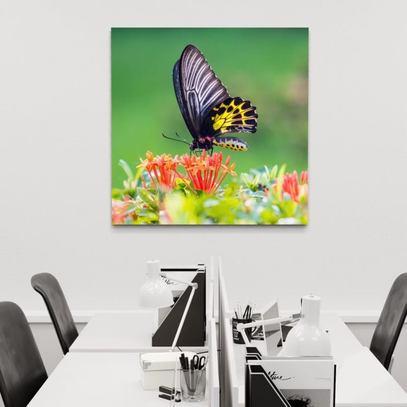 tablou canvas decorativ natura