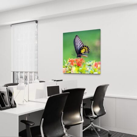 tablou canvas decorativ natura