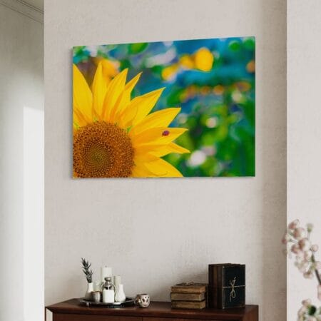 tablou canvas decorativ floarea soarelui