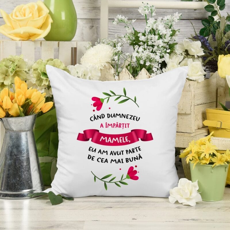 perna când dumnezeu a împărțit mamele