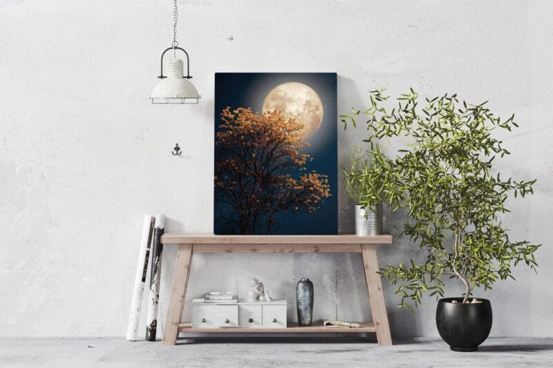 Tablou Canvas Decorativ Lună plină