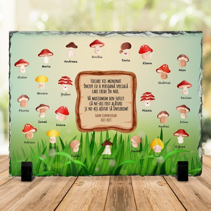 ardezie cadou educatoare / Învățătoare - grupa Ciupercuțelor