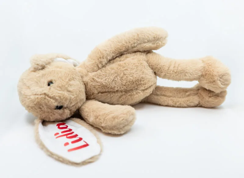 iepuraș de pluș personalizat cu nume