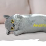 pisică gri din pluș personalizată cu nume