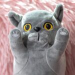pisică gri din pluș personalizată cu nume