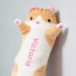 pisicuță din pluș personalizată cu nume
