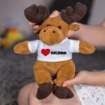 ren personalizat cu inimă și nume