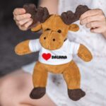 ren personalizat cu inimă și nume