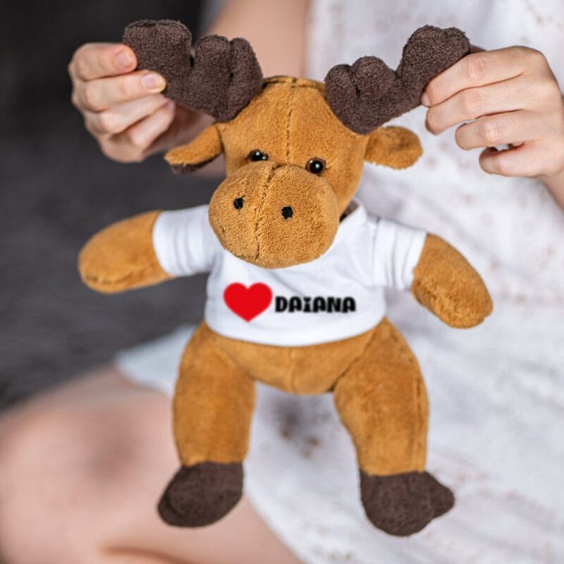 ren personalizat cu inimă și nume