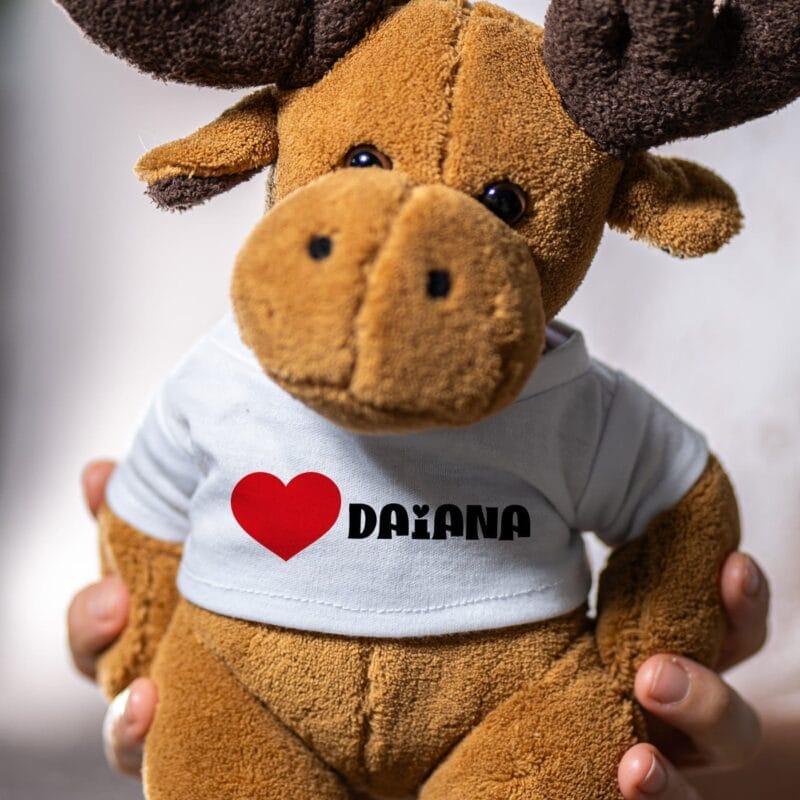 ren personalizat cu inimă și nume