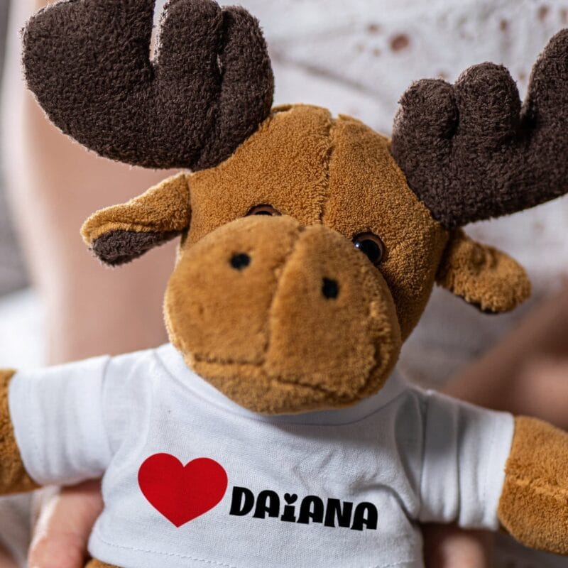 ren personalizat cu inimă și nume