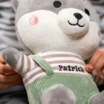 vulpe adorabilă din pluș personalizată cu nume