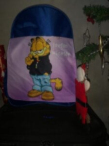 17340303166726121906846946327031