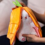 iepuraș de pluș în morcov personalizat cu nume