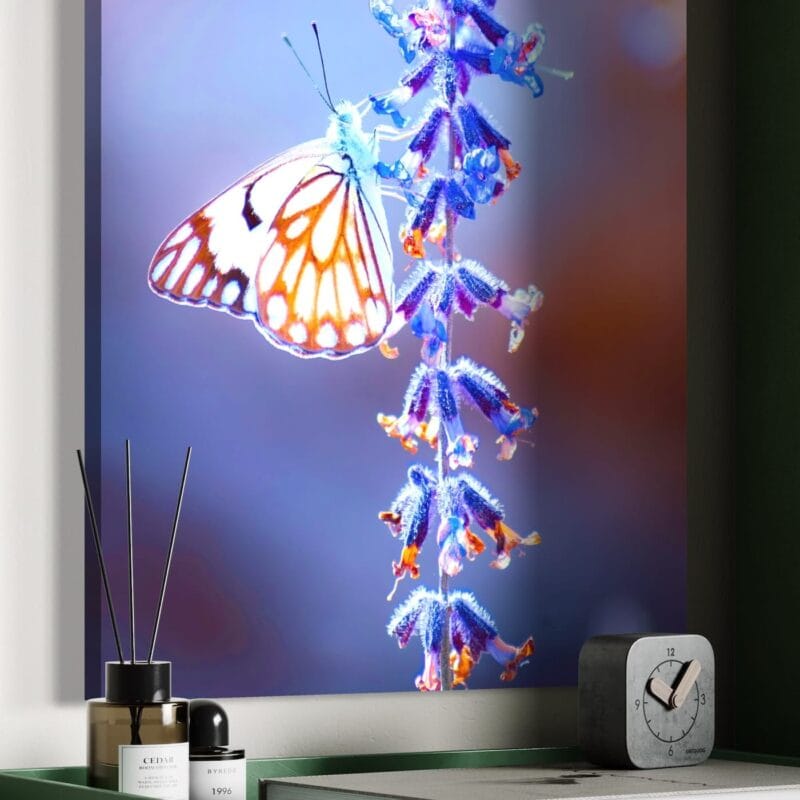 tablou canvas decorativ secretul aripilor albe