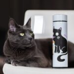 termos personalizat cu pisică și mesajbeau non-stop