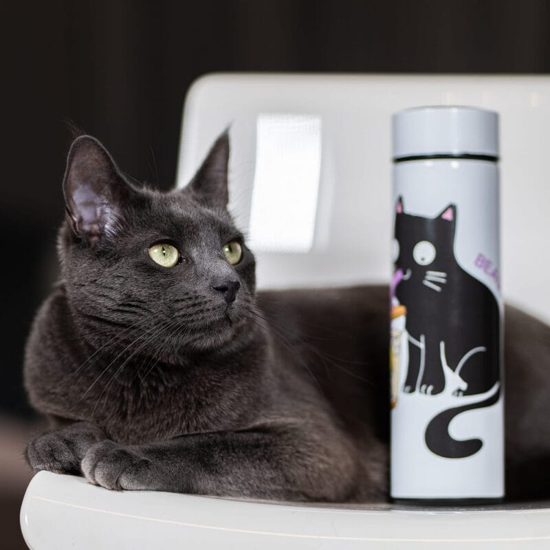 termos personalizat cu pisică și mesajbeau non-stop