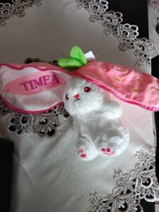 489756515 654511730768423 4710133183505314392 n