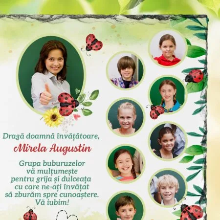 piatră personalizată cu Întreaga grupă a buburuzelor