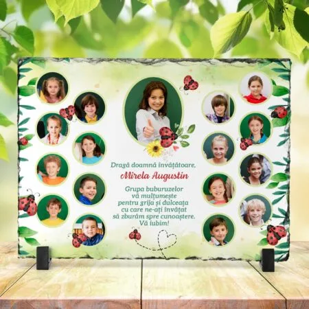 piatră personalizată cu Întreaga grupă a buburuzelor
