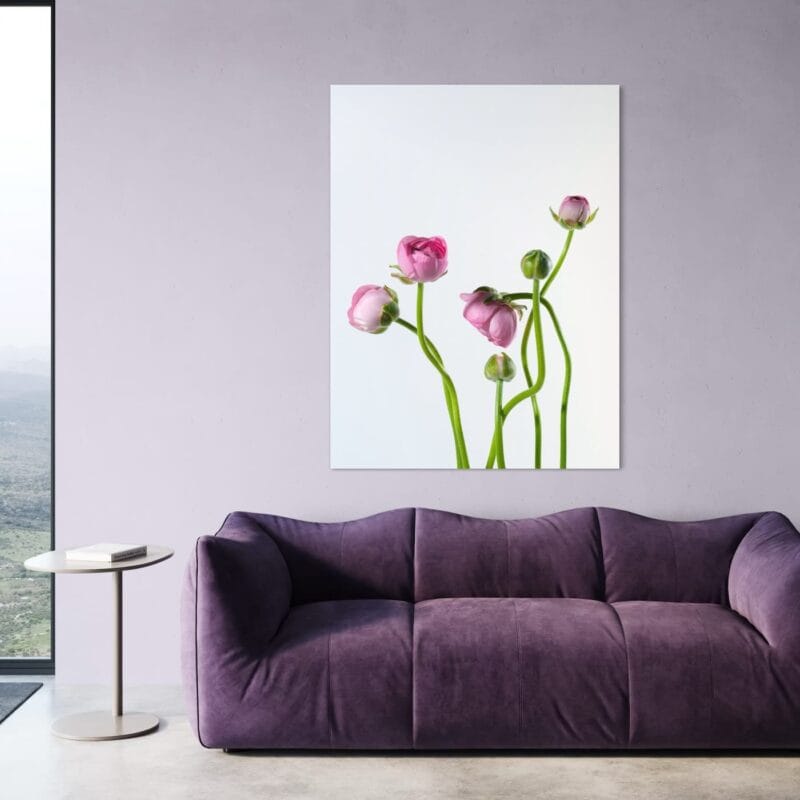 tablou canvas decorativ minimalist boboci de bujori