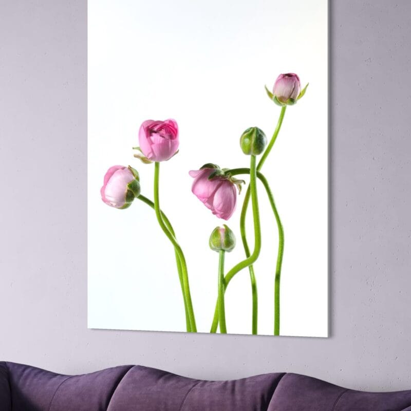 tablou canvas decorativ minimalist boboci de bujori