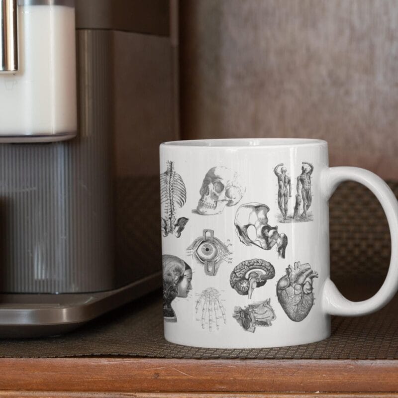 cană cu anatomie "educația prinde formă" – cadou pentru medici și studenți