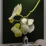 tablou canvas "eleganță naturală" orhidee albă pe fundal contrastant, artă murală modernă