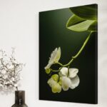 tablou canvas "eleganță naturală" orhidee albă pe fundal contrastant, artă murală modernă