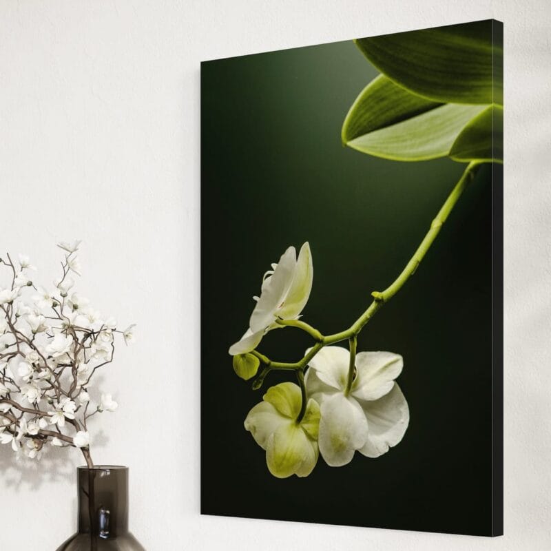 tablou canvas "eleganță naturală" orhidee albă pe fundal contrastant, artă murală modernă