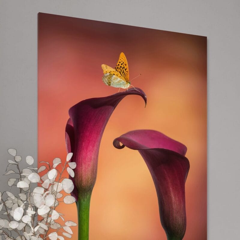 tablou canvas "moment captivat" cale elegante și fluture delicat, artă murală romantică