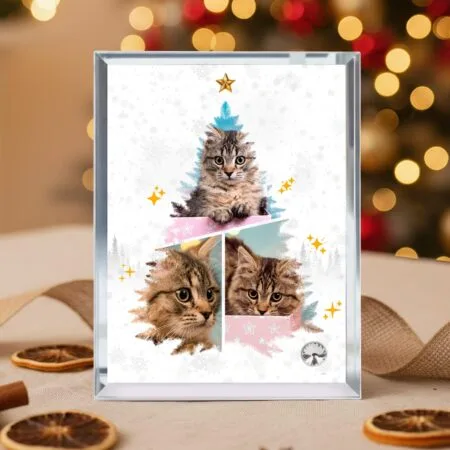 ramă foto din sticlă "brad din amintiri" cadou de crăciun cu 3 poze și contur oglindă