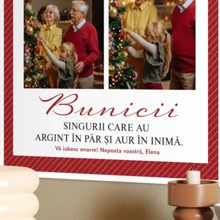 tablou Înrămat "argint în păr, aur în inimă" cadou emoționant pentru bunici