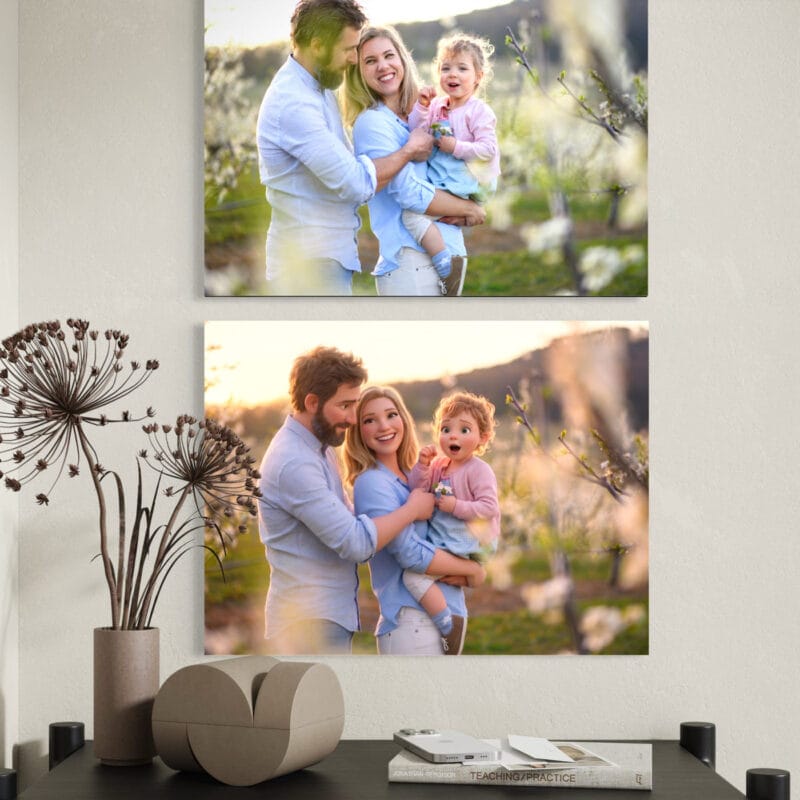 tablou canvas personalizat din poză — stil desen animat 3d