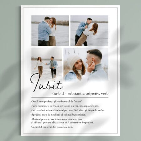 tablou personalizat definiția iubitului — cadou iubit cu 4 poze